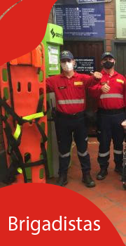 Brigadistas